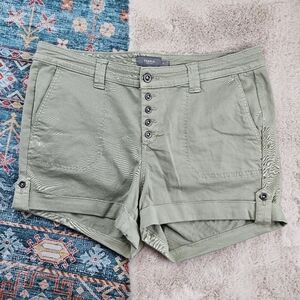 Torrid Green Shorts 18